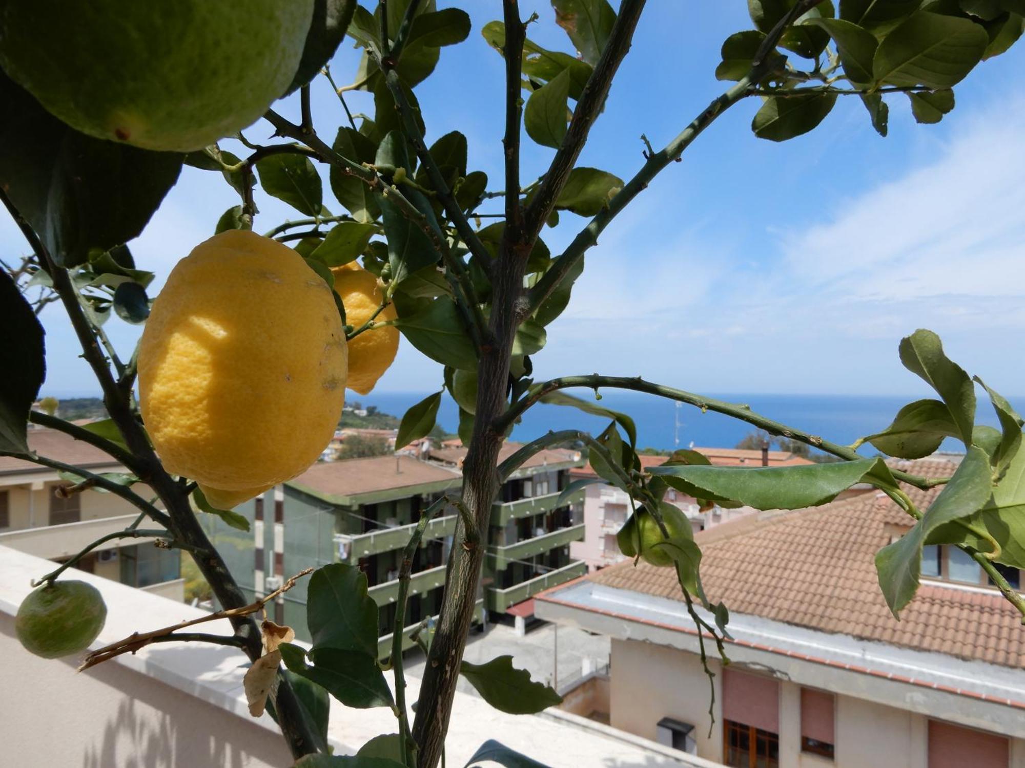 Middle Town Palace Tropea Extérieur photo